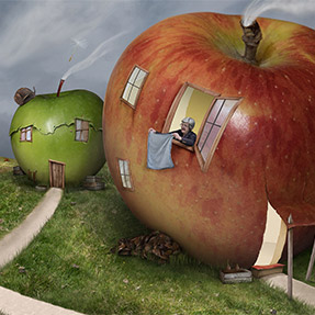 Apples Photoshop Comp