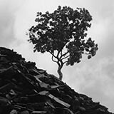 Dinorwic slate quarry photography